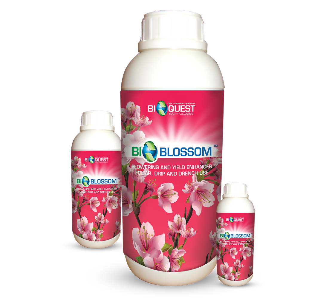 BIOBLOSSOM
